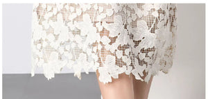 Vietnamese Slim Lace Dress with 3D Floral Embroidery